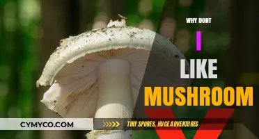 Exploring the Reasons Behind a Common Food Aversion: Mushrooms