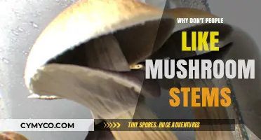 The Great Mushroom Stem Debate: Why They're Often Left Behind