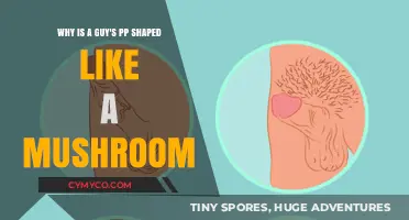 Exploring the Unique Shapes of Male Anatomy: A Comprehensive Guide