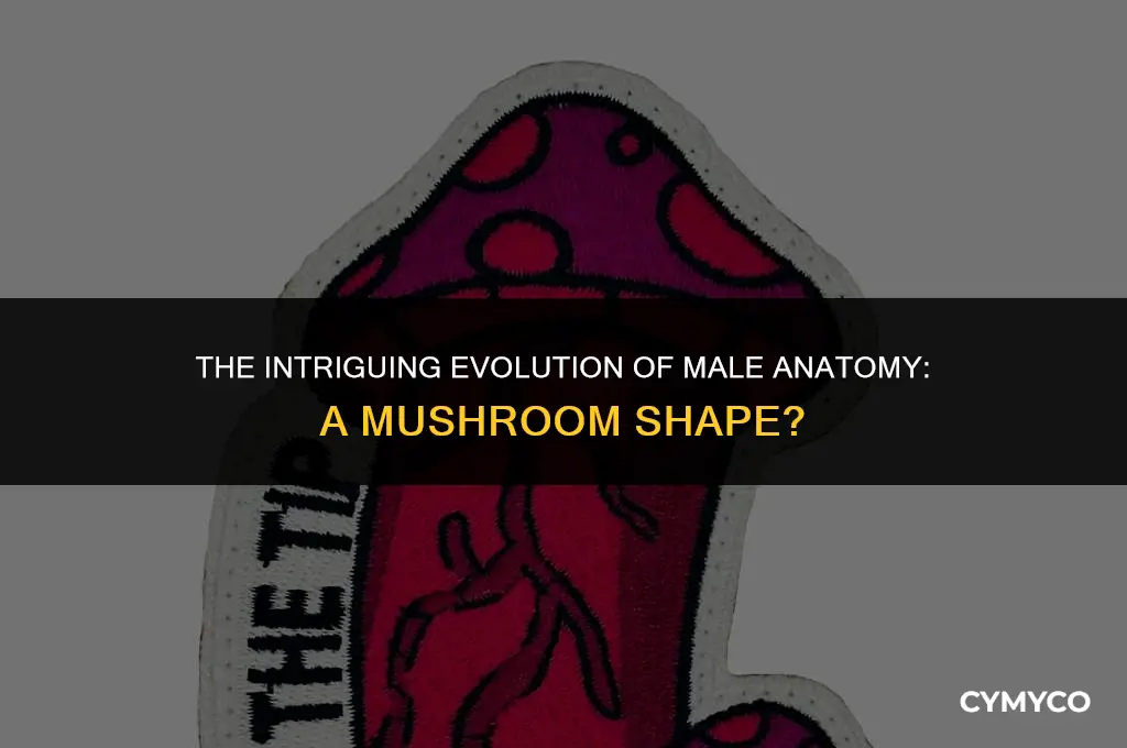 why is a man
