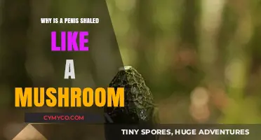 Unveiling Nature's Design: The Intriguing Shape of a Penis