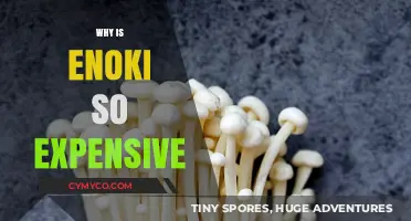 Unveiling the Cost Mystery: Why Enoki Mushrooms Come with a Premium Price Tag