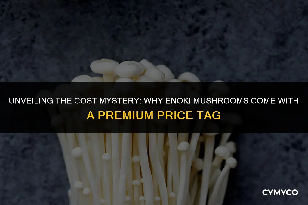 why is enoki so expensive