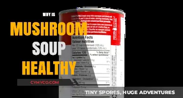 Nourishing Benefits: Why Mushroom Soup Should Be on Your Menu