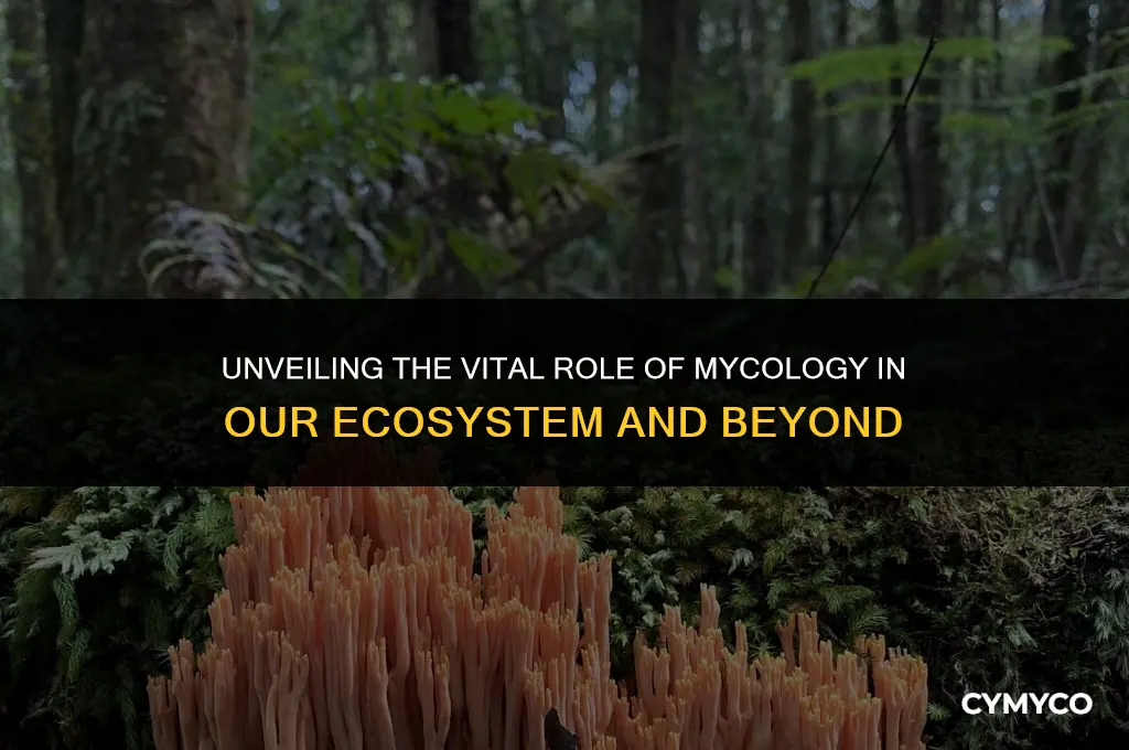why is mycology important