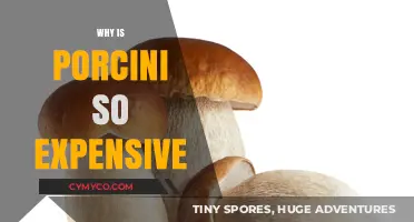 The Cost of Culinary Gold: Why Porcini Mushrooms Break the Bank