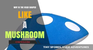 Exploring the Fascinating Reasons Behind the Mushroom-Shaped Head