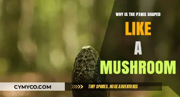 Exploring the Unique Shape of the Penis: A Mushroom Analogy