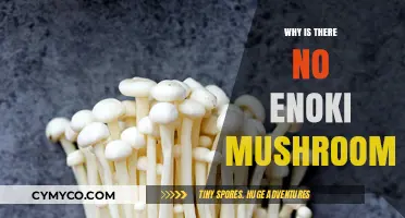 The Curious Case of the Vanishing Enoki Mushrooms