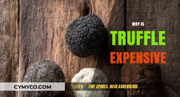 Unveiling the Secrets Behind Truffle's Exorbitant Price Tag