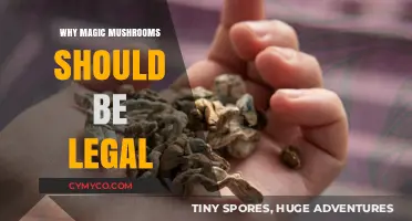 Unlocking the Potential: The Case for Legalizing Magic Mushrooms
