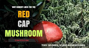 The Unpopularity of the Red Cap Mushroom: A Culinary Mystery