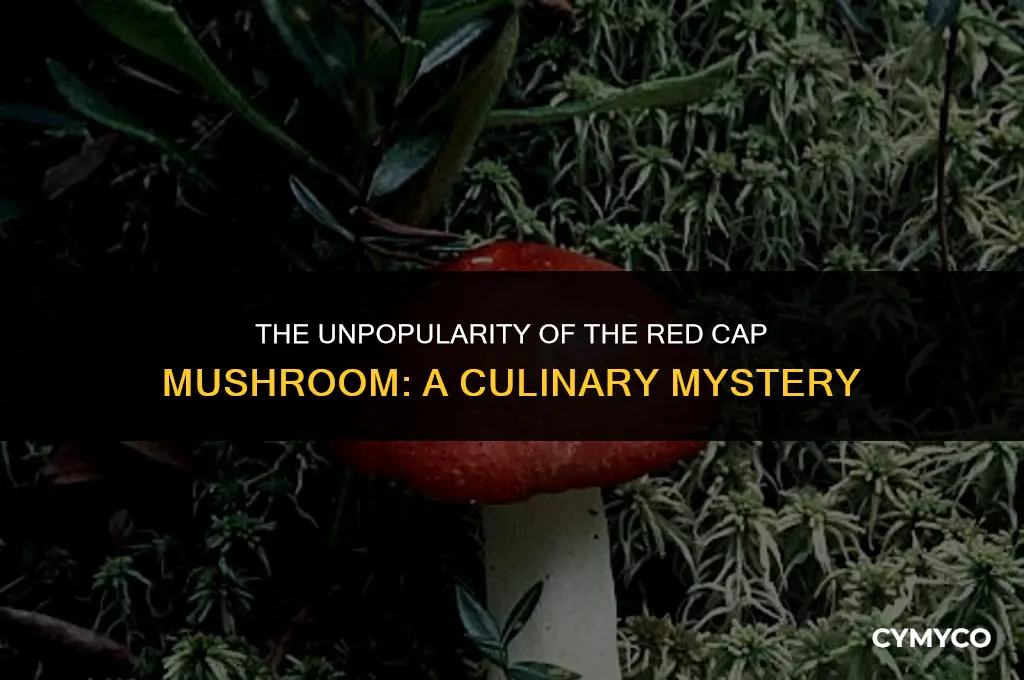why nobody likes the the red cap mushroom