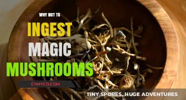 Exploring the Risks: Why Ingesting Magic Mushrooms Isn't Always Safe