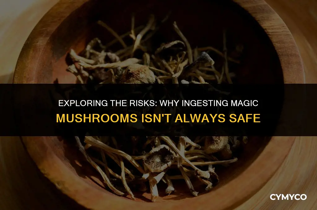 why not to ingest magic mushrooms