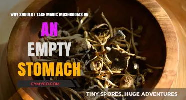 Exploring the Effects: Magic Mushrooms and the Empty Stomach Experience