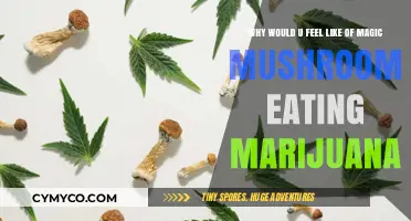 Exploring the Mystical: Marijuana and Magic Mushrooms Compared