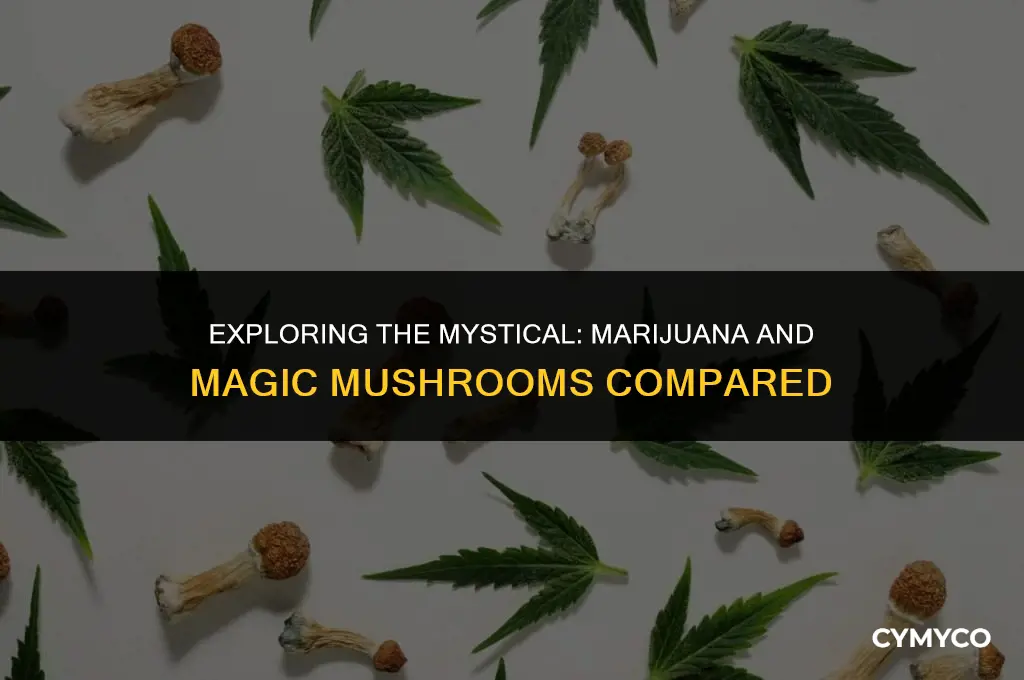 why would u feel like of magic mushrooms eating marijuana