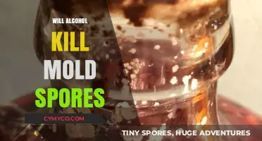 Can Alcohol Effectively Eliminate Mold Spores? A Comprehensive Guide