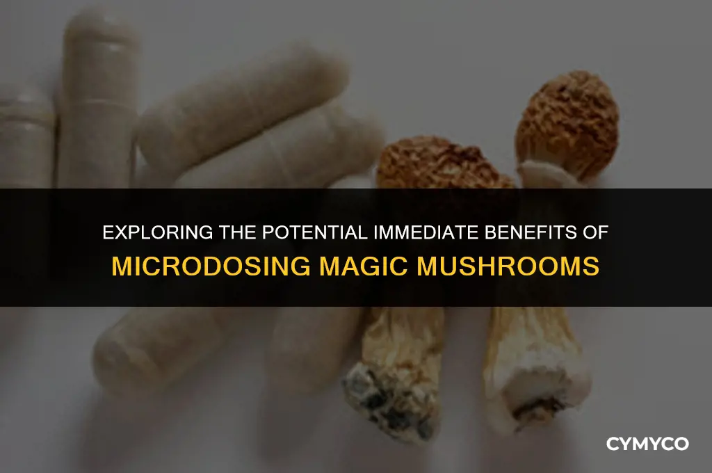 will an eighth of magic mushrooms have immediate positive effects