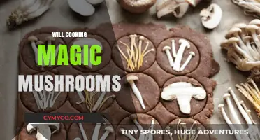 Exploring the Culinary Enchantment: Cooking with Magic Mushrooms
