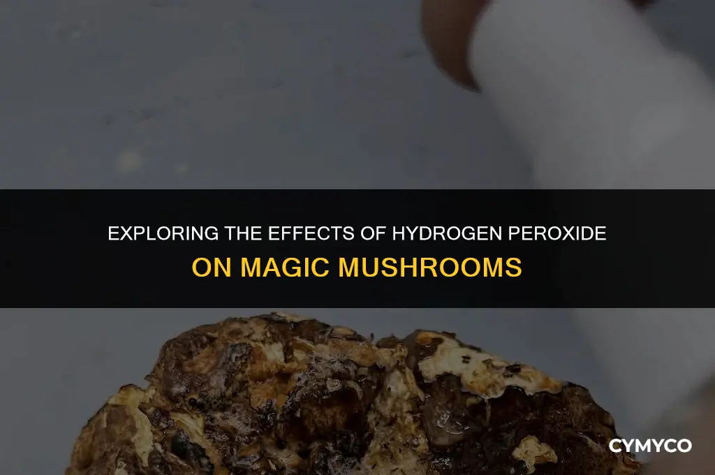 will hydrogen peroxide kill magic mushrooms