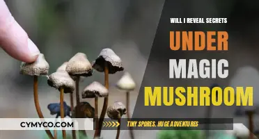 Unveiling Truths: A Journey Through Psilocybin's Mind-Altering Realms