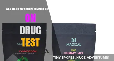 Exploring the Detection of Magic Mushroom Gummies in Drug Tests