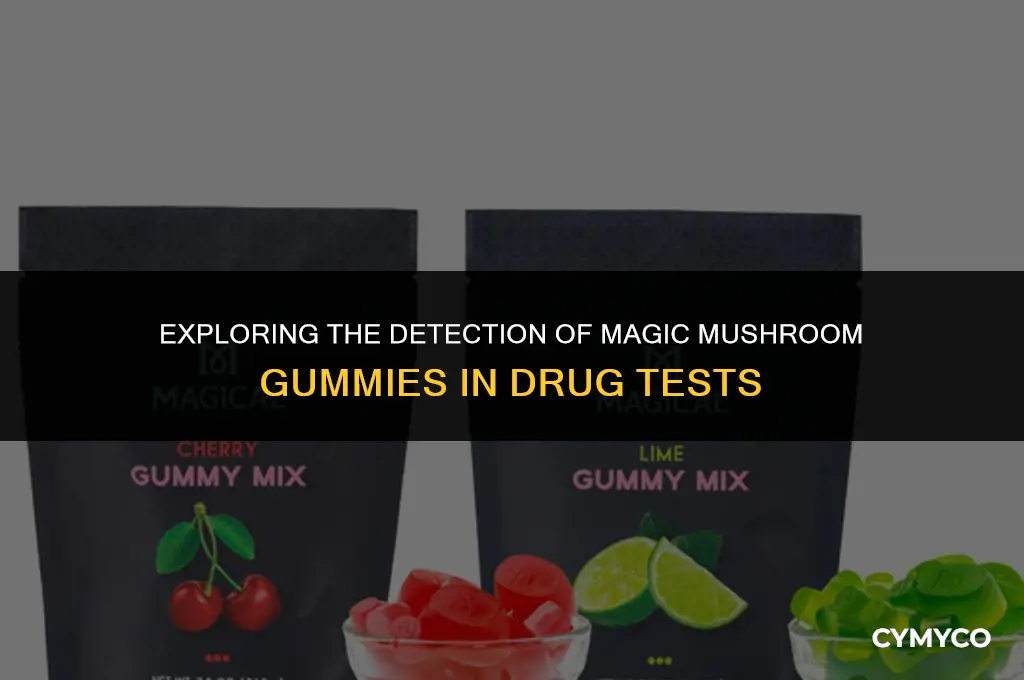 will magic mushroom gummies show up on drug test