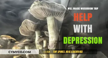 Exploring the Potential of Magic Mushrooms in Treating Depression