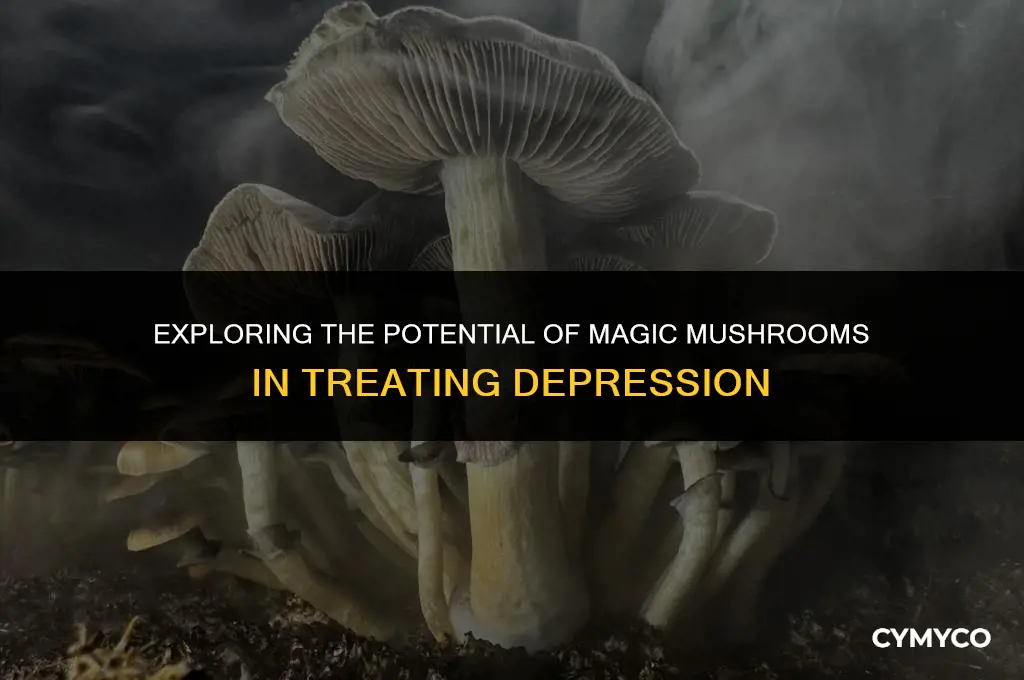will magic mushroom trip help with depression