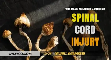 Exploring the Impact of Magic Mushrooms on Spinal Cord Injuries