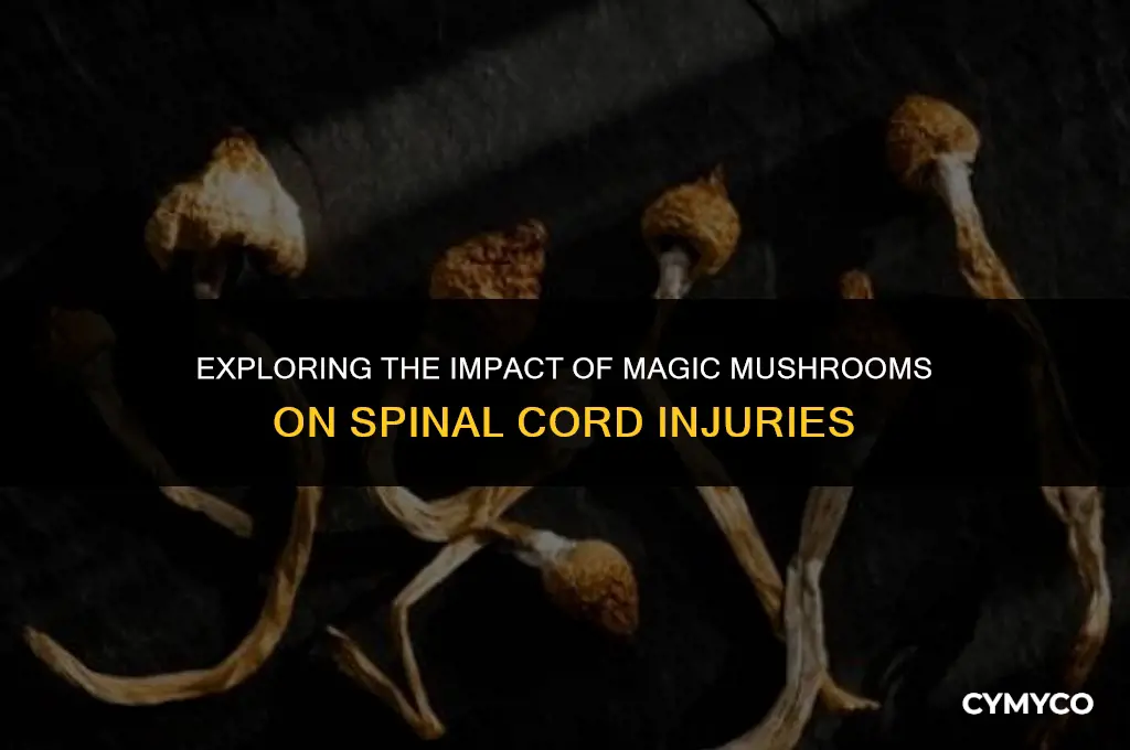 will magic mushrooms affect my spinal cord injury