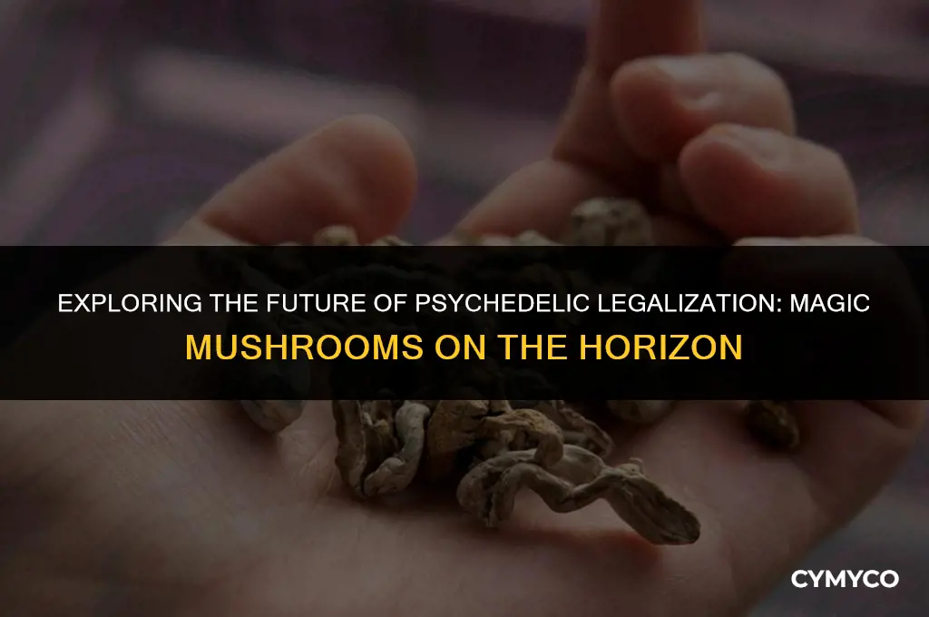 will magic mushrooms be legalized
