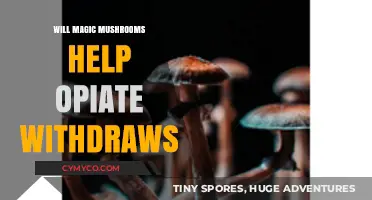 Exploring the Potential of Magic Mushrooms in Opiate Withdrawal