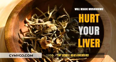 Exploring the Effects of Magic Mushrooms on Liver Health