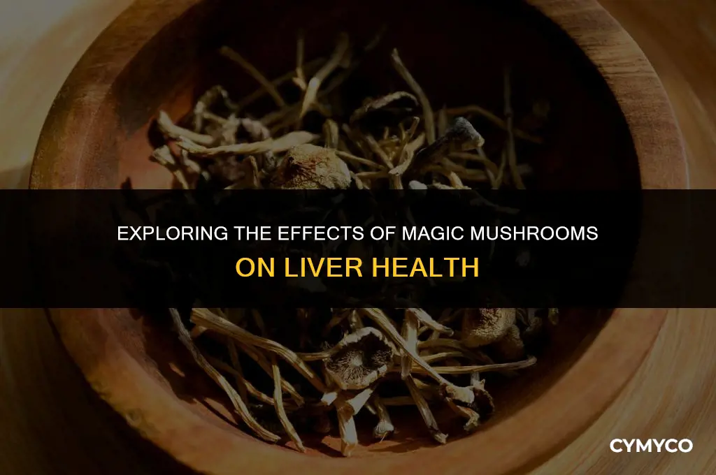 will magic mushrooms hurt your liver