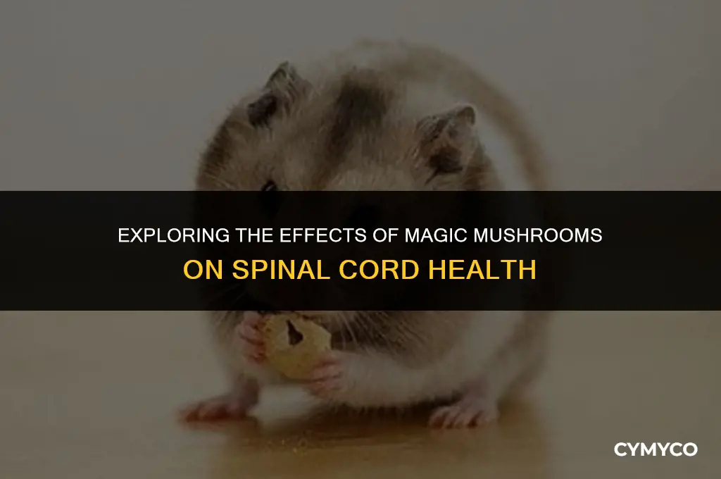 will magic mushrooms injur the spinal cord