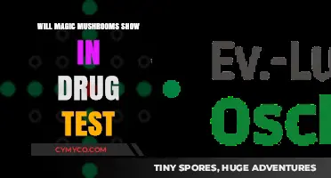 Do Magic Mushrooms Appear in Drug Tests? A Comprehensive Guide