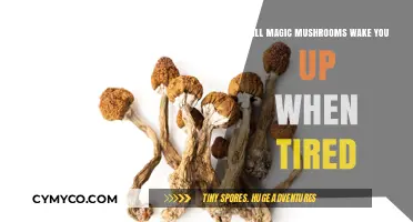 Exploring the Effects of Magic Mushrooms on Fatigue and Wakefulness