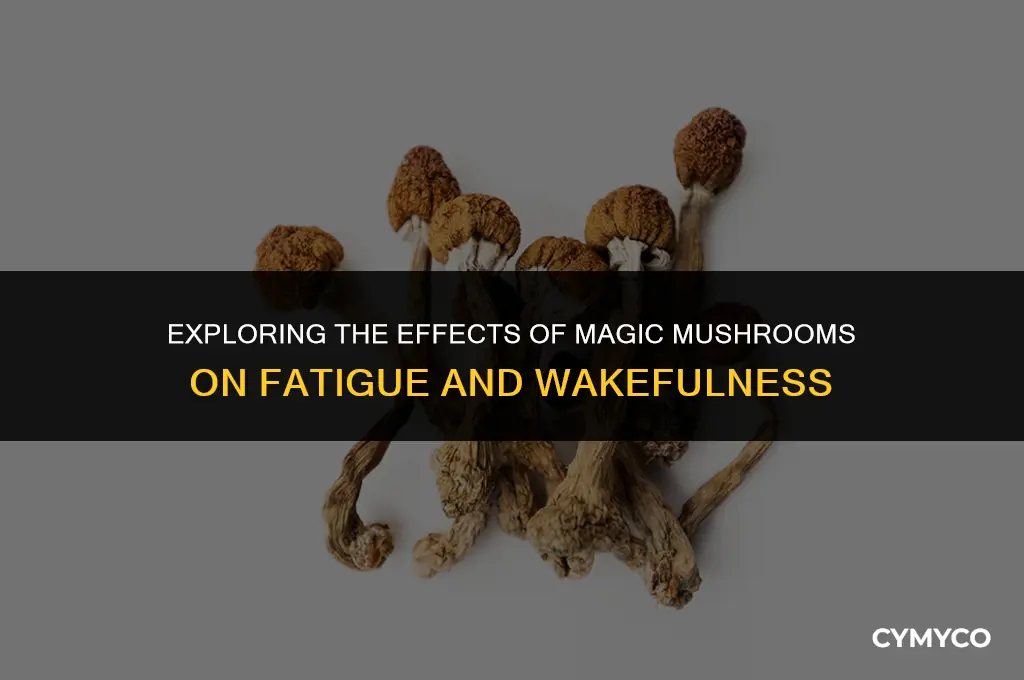 will magic mushrooms wake you up when tired