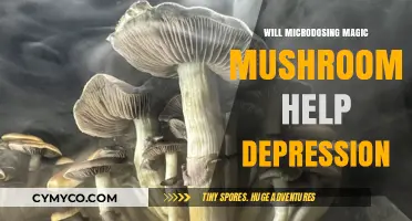 Exploring the Potential of Microdosing Magic Mushrooms for Depression Relief
