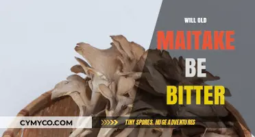 Exploring the Flavor Profile of Aged Maitake Mushrooms