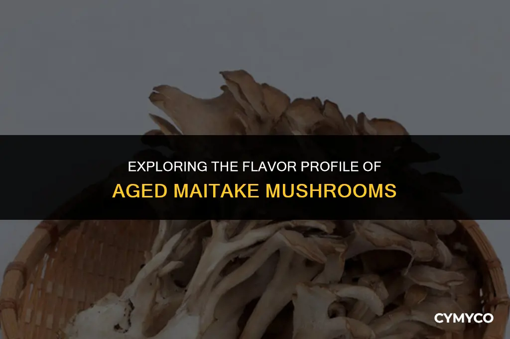 will old maitake be bitter