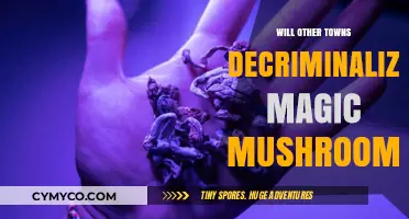 Exploring the Possibility: Will More Towns Decriminalize Magic Mushrooms?