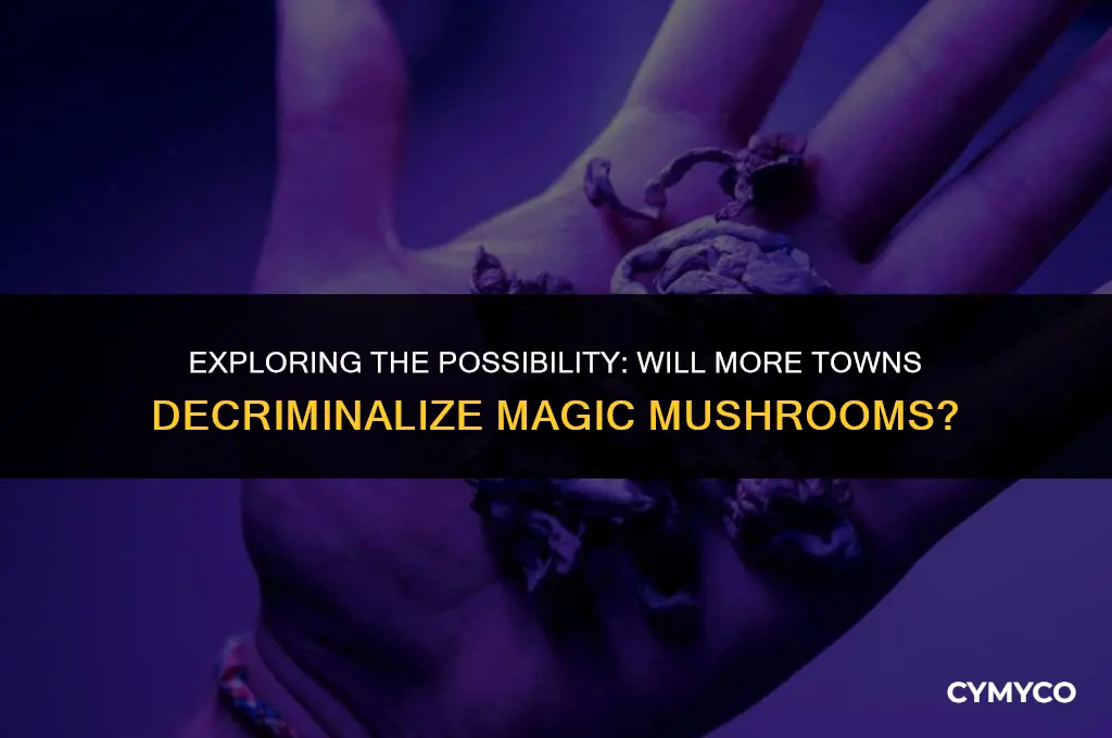 will other towns decriminalize magic mushrooms