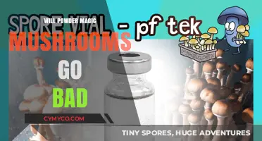 Exploring the Shelf Life of Powdered Magic Mushrooms: Facts and Myths