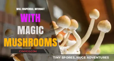 Exploring the Risks: Risperdal and Magic Mushrooms Interaction
