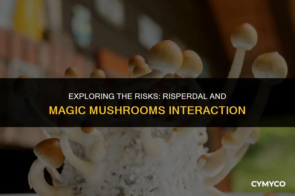 will risperdal interact with magic mushrooms