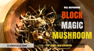 Exploring the Interaction: Risperidone and Magic Mushrooms